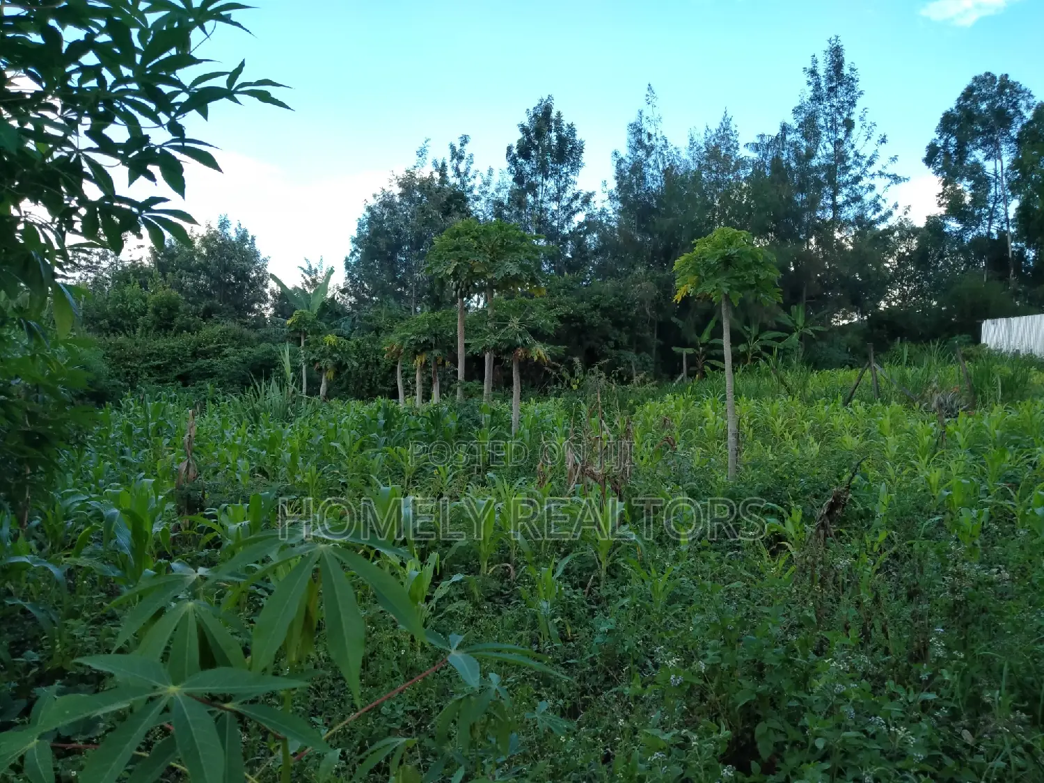 Large Quarter Acre Plot in Kandisi, Ongata Rongai - Now Available in Kandisi