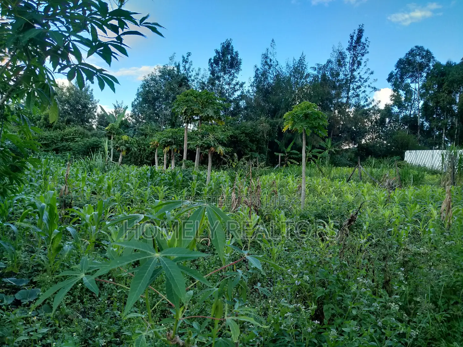 Large Quarter Acre Plot in Kandisi, Ongata Rongai - Now Available in Kandisi