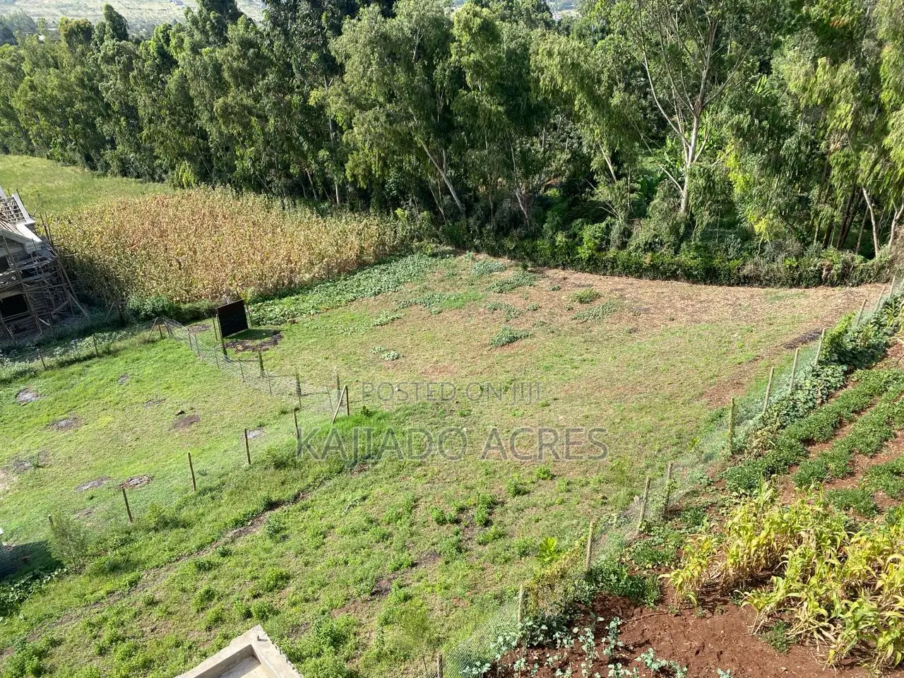 1/8 Acre Lemiso Road at 3.5m in Ngong