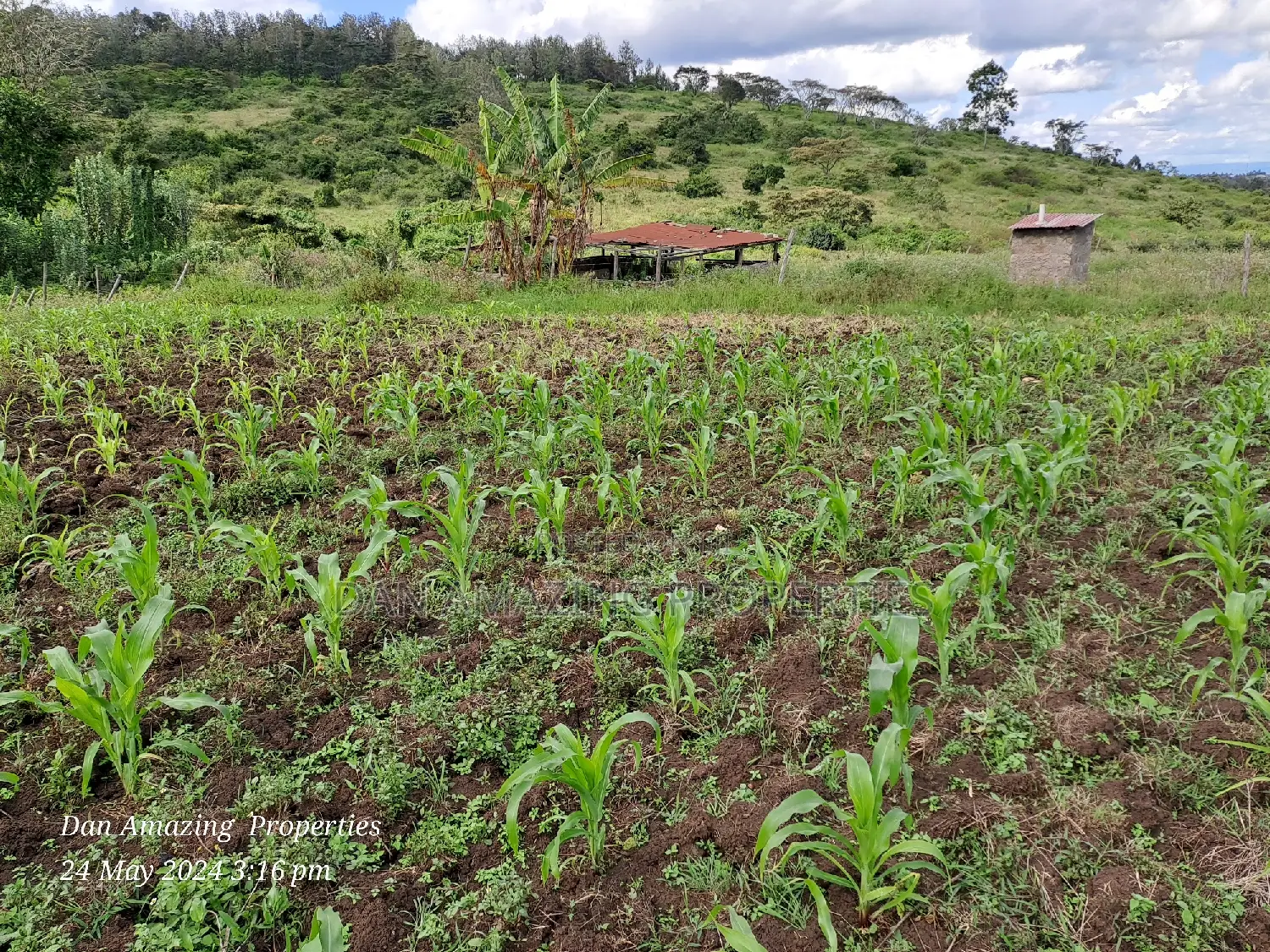 Prime 2-Acre Farmland in Ngong Kaurai - Your Gateway to Successful Agriculture in Matasia