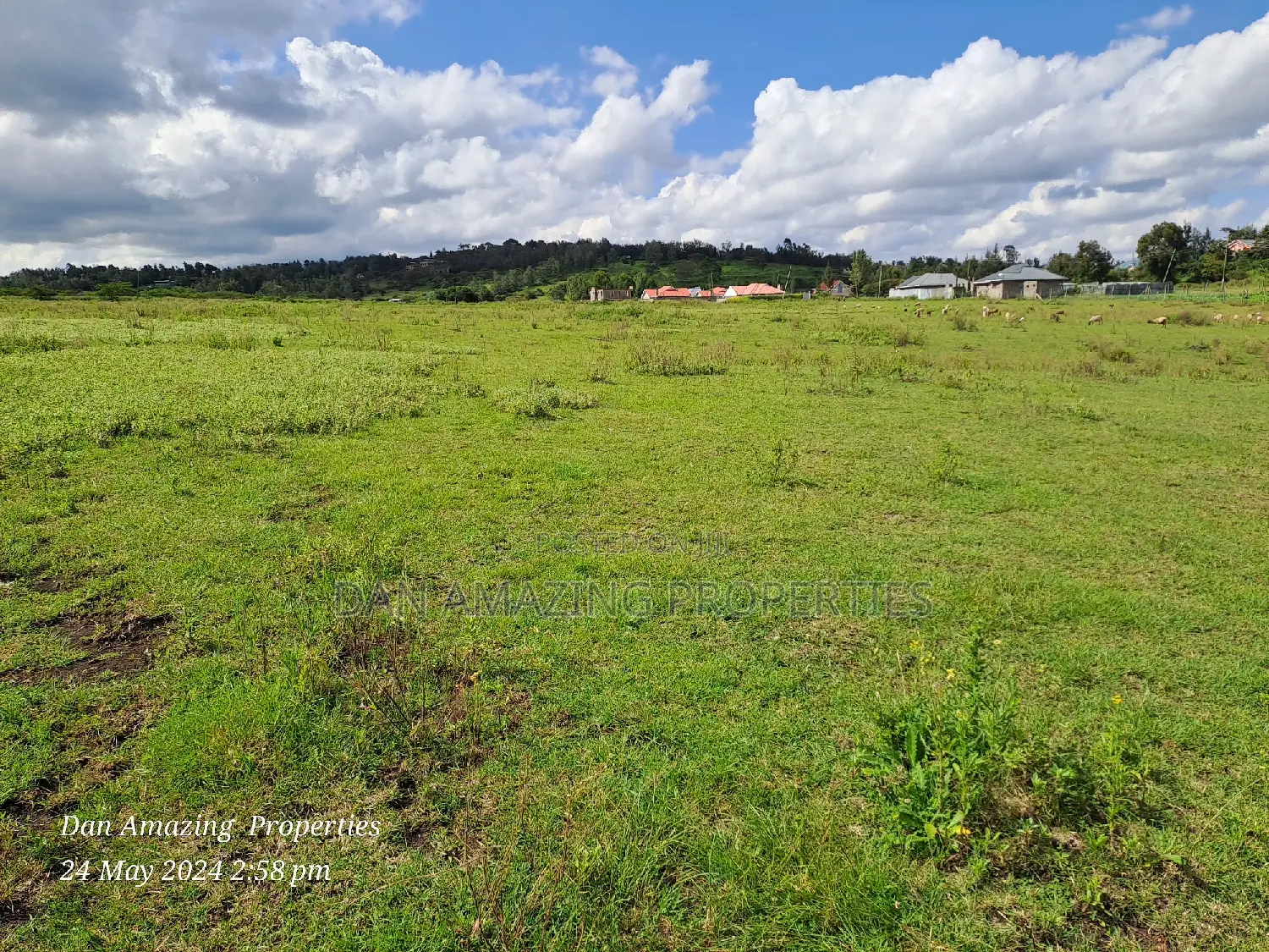 10.5 Acres Land Block in Ngong Kaurai - Investment Opportunity! in Matasia