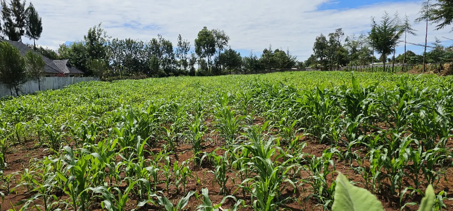 Kiplombe Eldoret: Prime 1/2 Acre Land for Sale - Seize the Opportunity in Kiplombe
