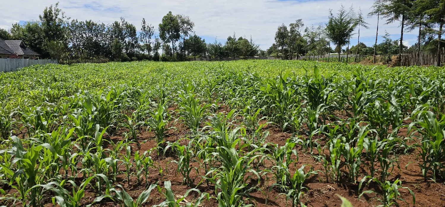 Kiplombe Eldoret: Prime 1/2 Acre Land for Sale - Seize the Opportunity in Kiplombe