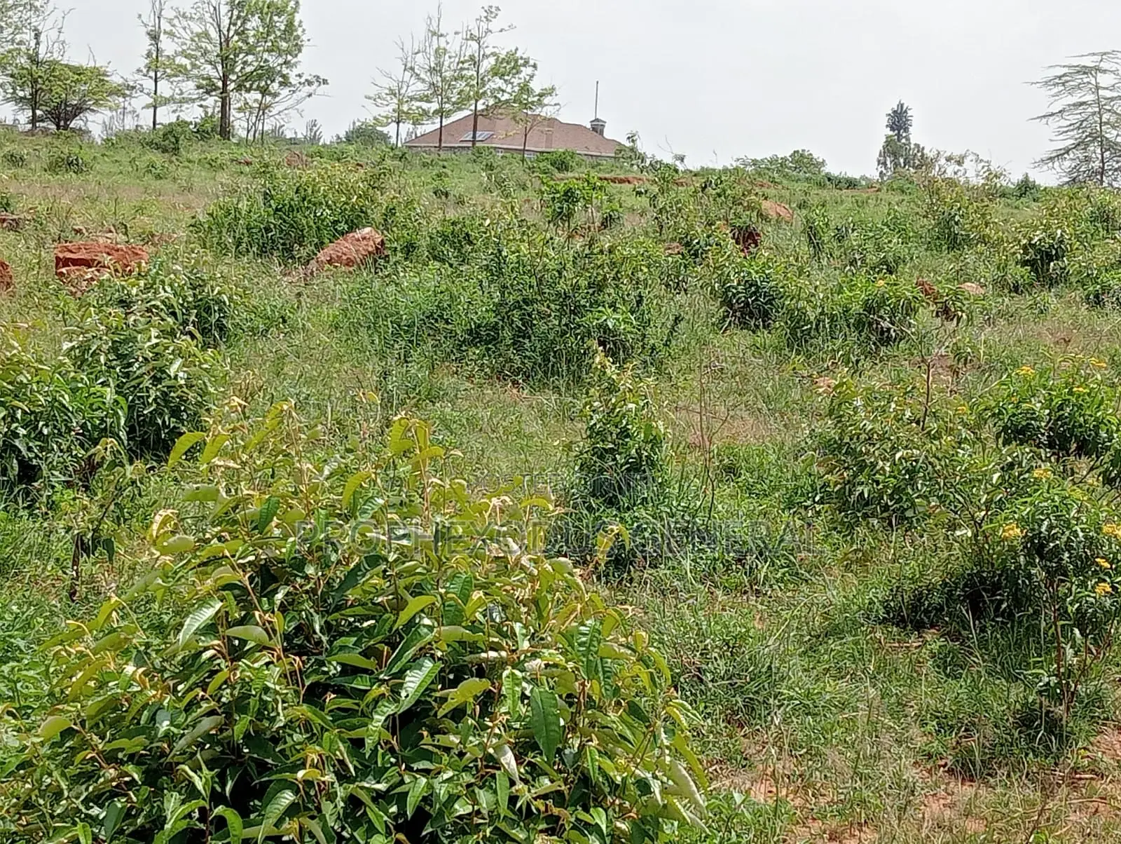 1/4 Residential Plot in Nazarene Ongata Rongai - Ideal for Homebuilding in Maasai Lodge