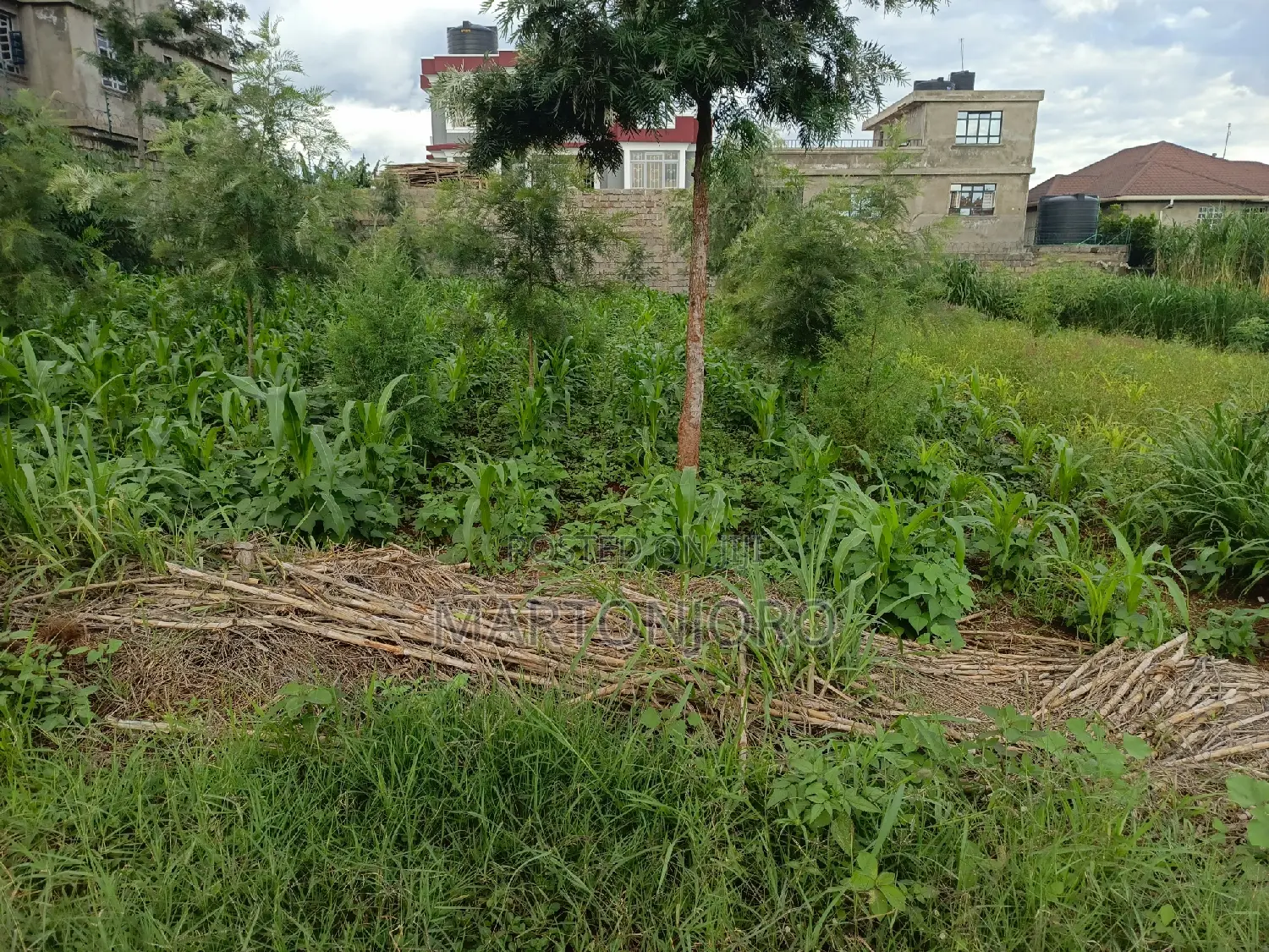 Dam Ridge Ruiru Homes - Your New Home Awaits - Find Yours Today in Kenyatta Road / Theta