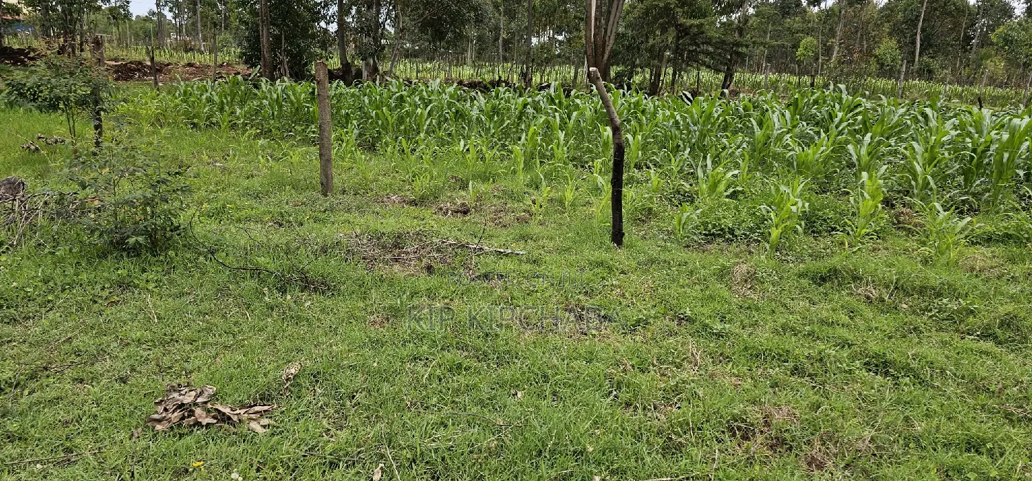 Prime Plot for Sale: Outspan Eldoret - Just 60m from Highway in Racecourse