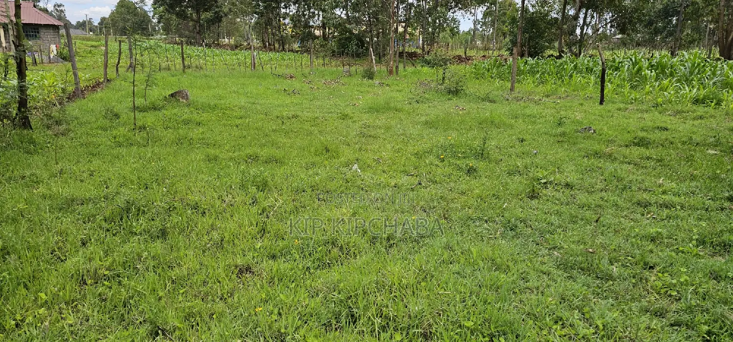 Prime Plot for Sale: Outspan Eldoret - Just 60m from Highway in Racecourse
