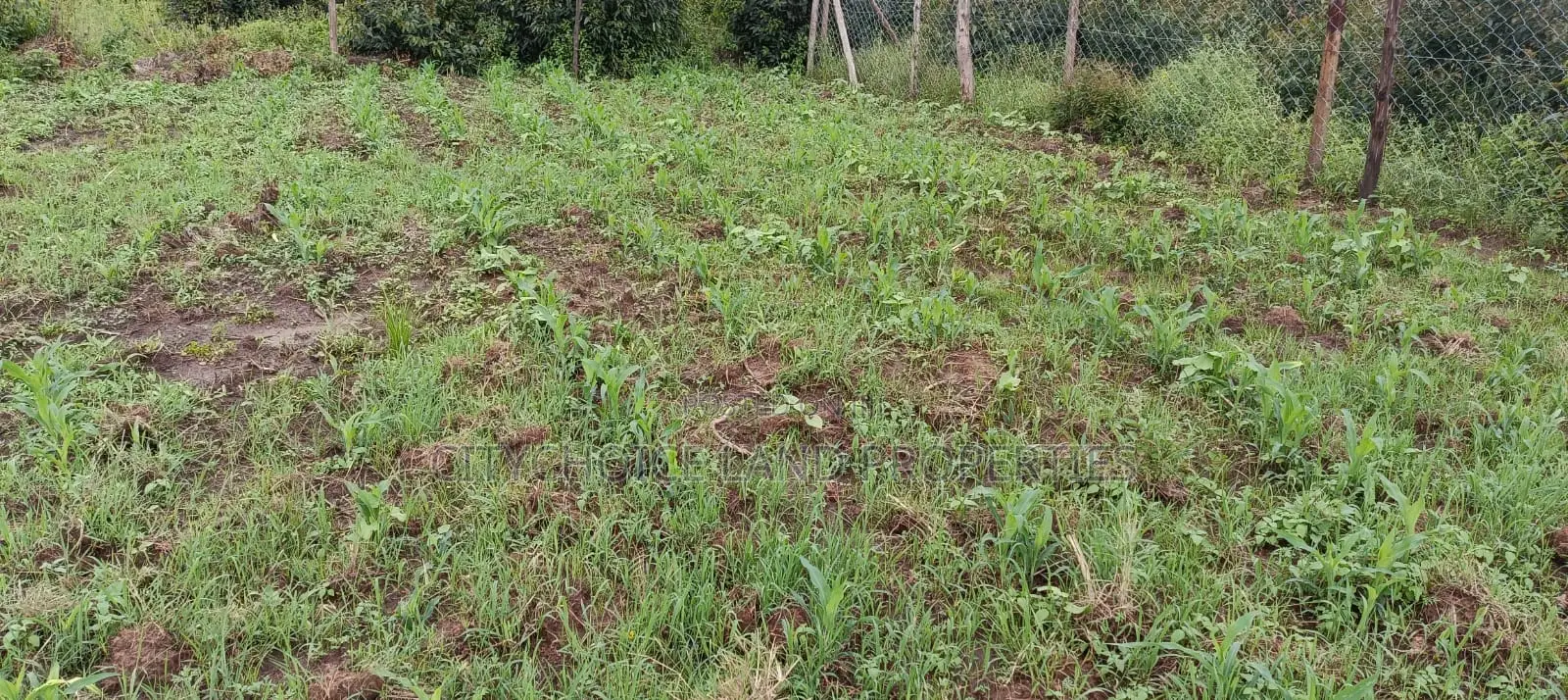 50x100 Plot Land Available in Kikuyu Karai - Seize the Land Ownership Dream Today in Karai