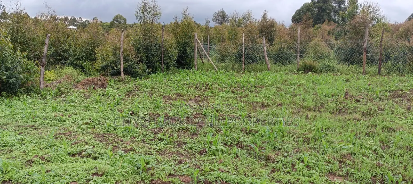 50x100 Plot Land Available in Kikuyu Karai - Seize the Land Ownership Dream Today in Karai