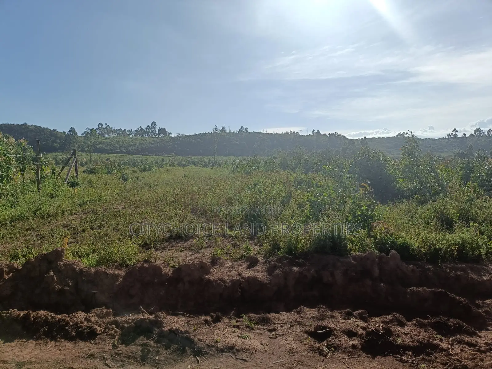 Invest in Prime Real Estate: 50x100 Land in Karai, Lusigetti for Sale in Karai