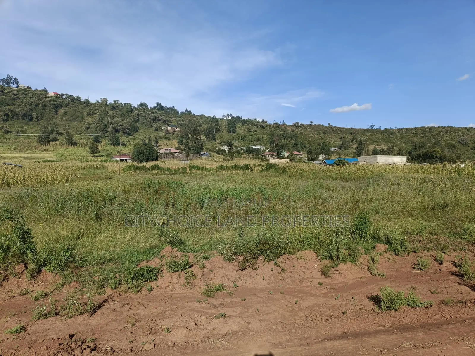 Affordable 50x100 Land for Sale in Karai Kikuyu in Karai