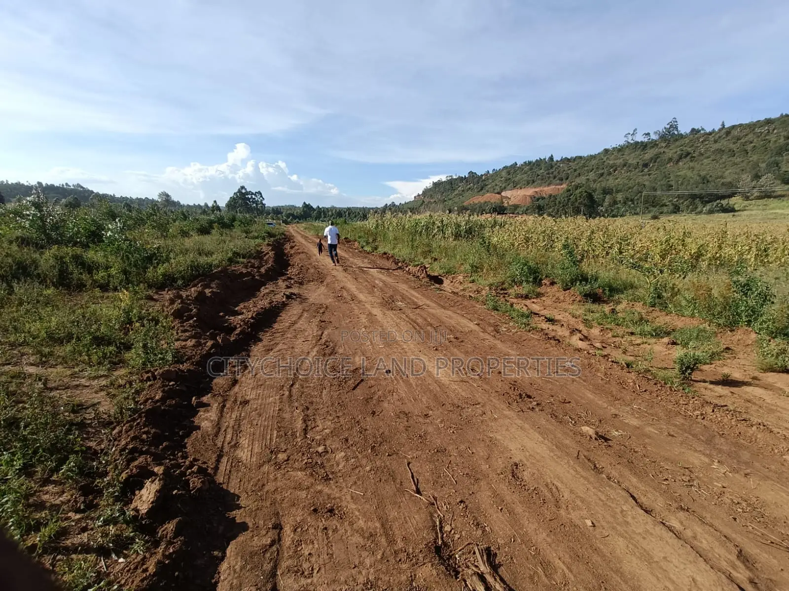 Affordable 50x100 Land for Sale in Karai Kikuyu in Karai