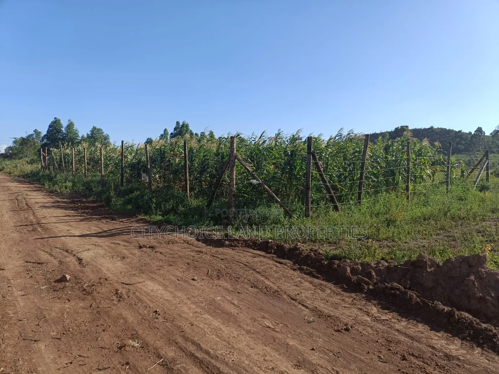 Affordable 50x100 Land for Sale in Karai Kikuyu in Karai