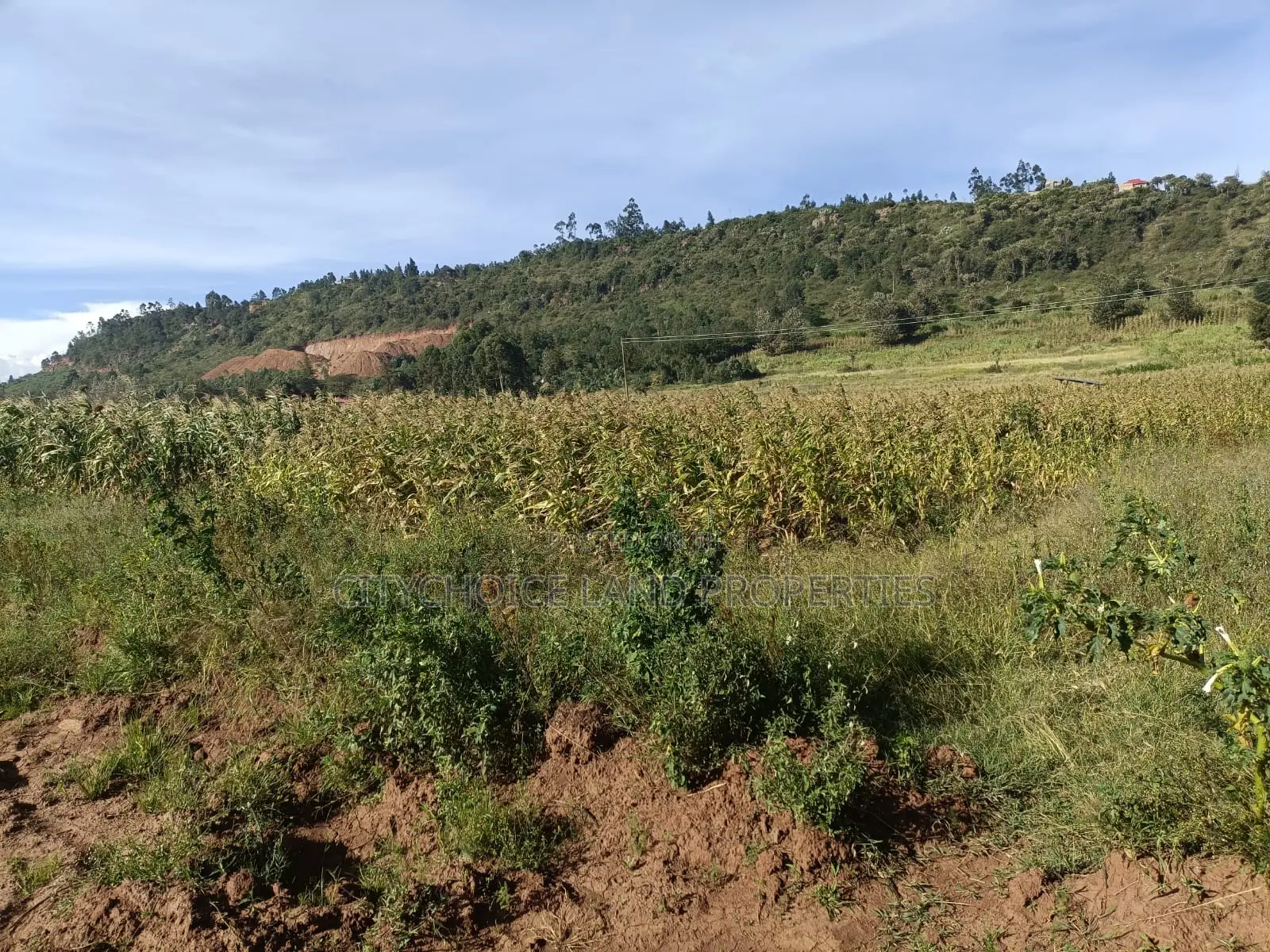 Affordable 50x100 Land for Sale in Karai Kikuyu in Karai