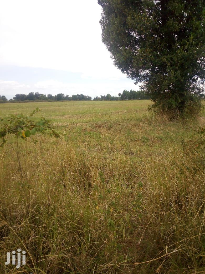 10 Acres of Land: Invest in Your Future Today with This Opportunity! in Njoro