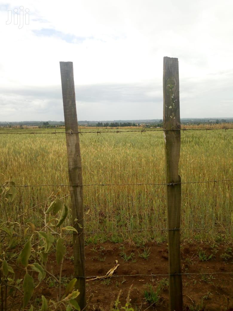 10 Acres of Land: Invest in Your Future Today with This Opportunity! in Njoro