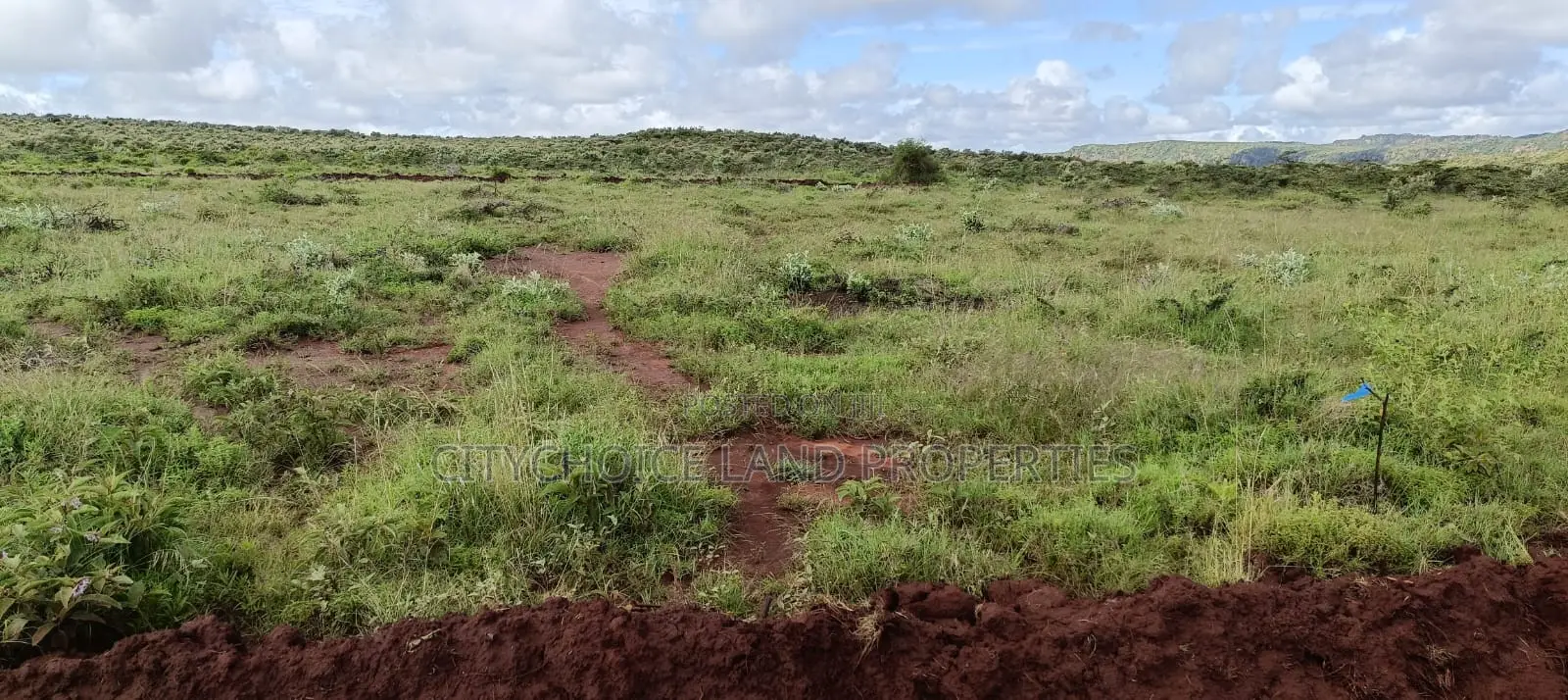 Land Sale Alert: Nachu 50x100 Plot Available! in Karai
