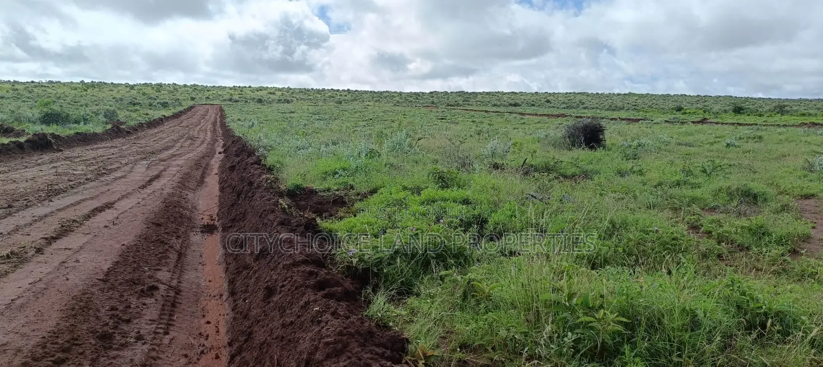 Land Sale Alert: Nachu 50x100 Plot Available! in Karai