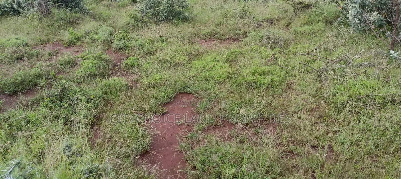 Land Sale Alert: Nachu 50x100 Plot Available! in Karai
