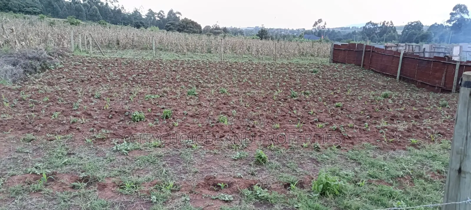prime 50x100 plot for sale in Gikambura - ideal investment opportunity in Karai