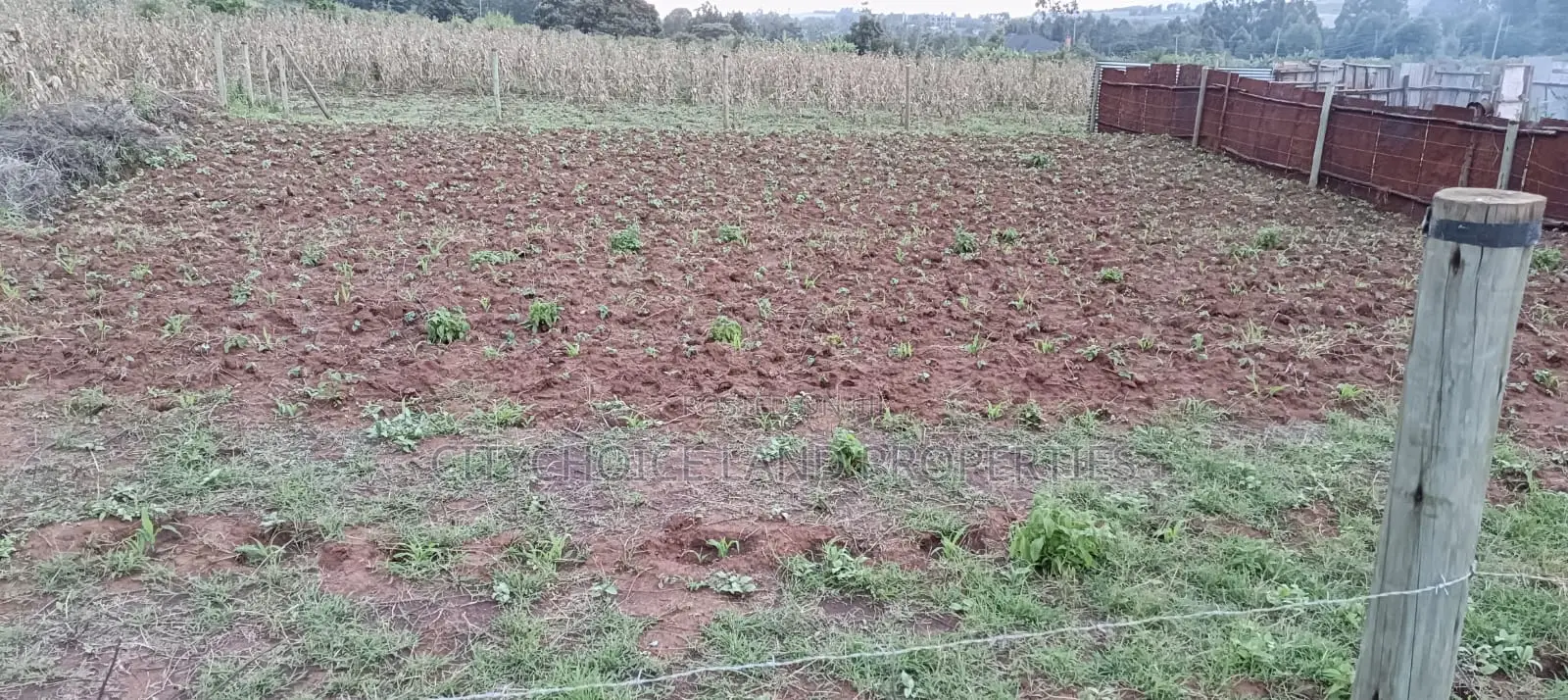 prime 50x100 plot for sale in Gikambura - ideal investment opportunity in Karai