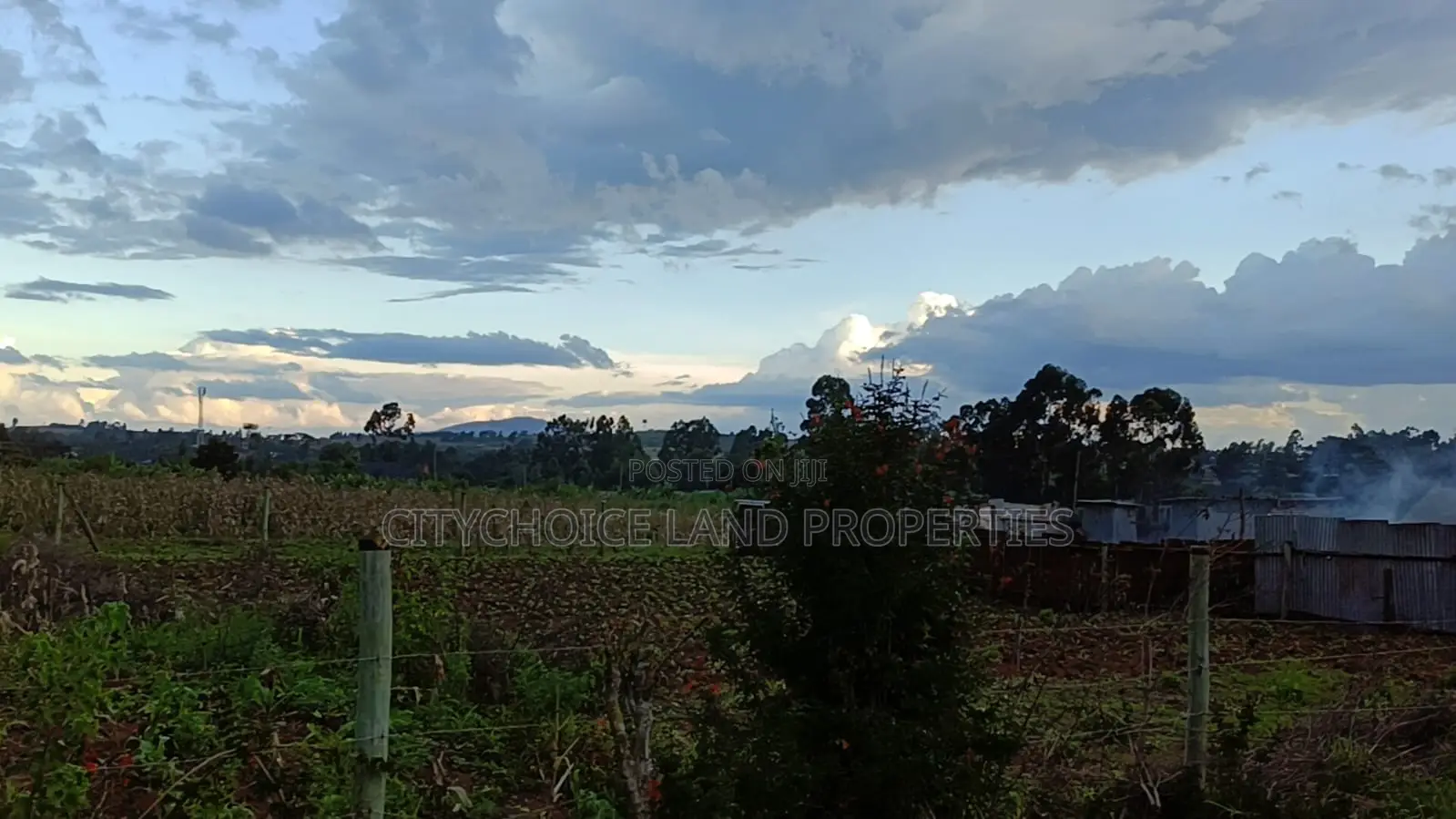 Budget-Friendly 50x100 Plot in Jambo Tv Kikuyu in Karai