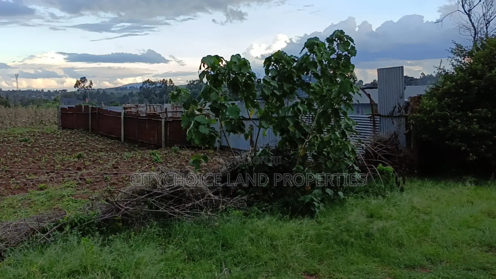 Budget-Friendly 50x100 Plot in Jambo Tv Kikuyu in Karai