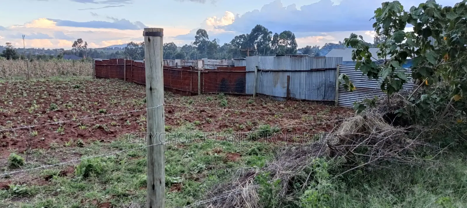 Budget-Friendly 50x100 Plot in Jambo Tv Kikuyu in Karai