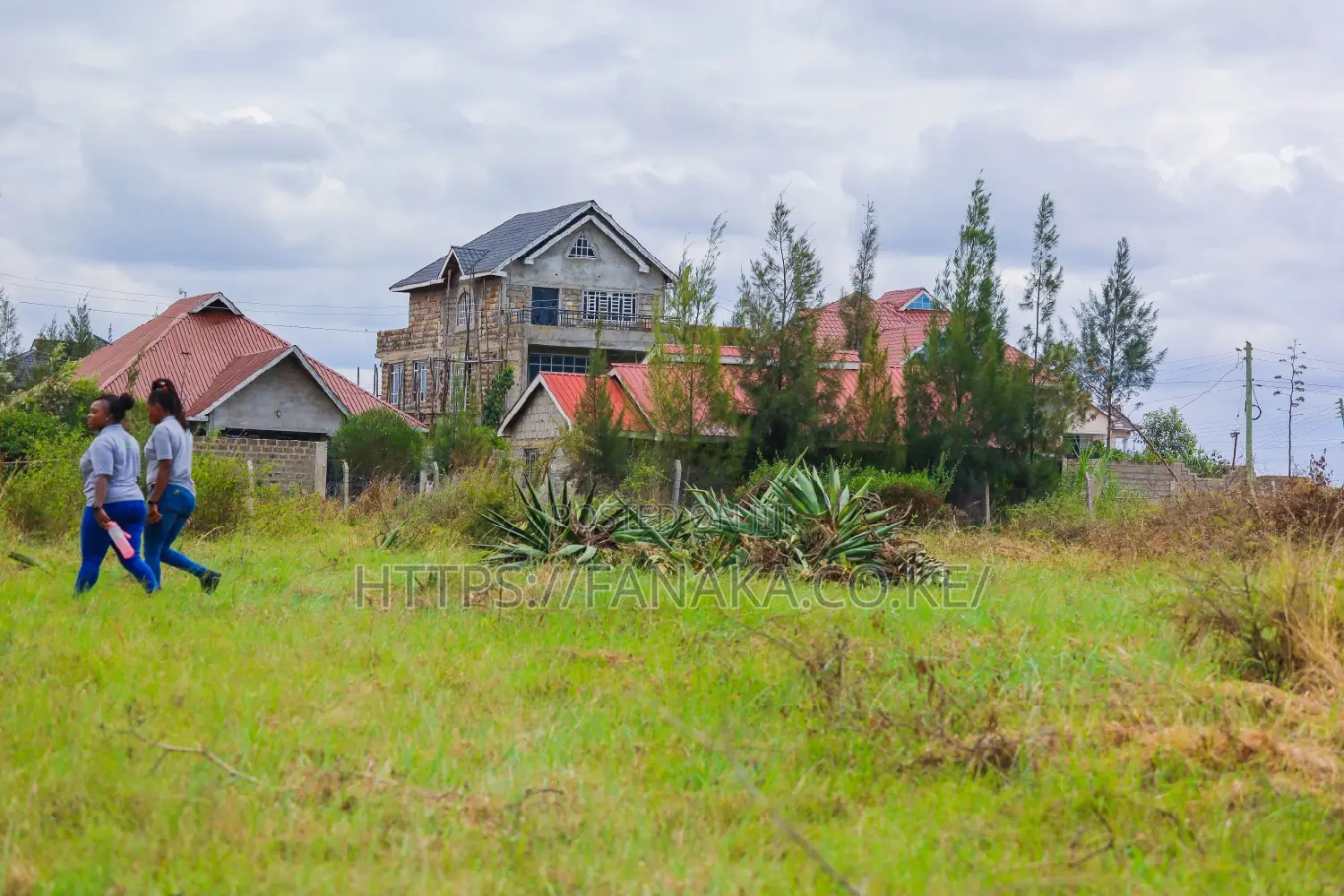 Syokimau-Katani Plots at 2.3M Ww^ in Katani
