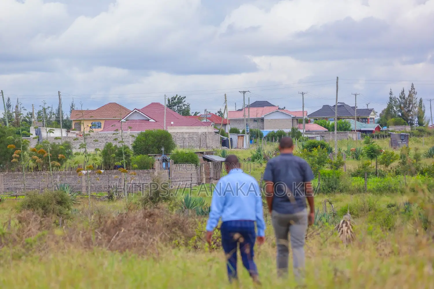 Syokimau-Katani Plots at 2.3M Ww^ in Katani