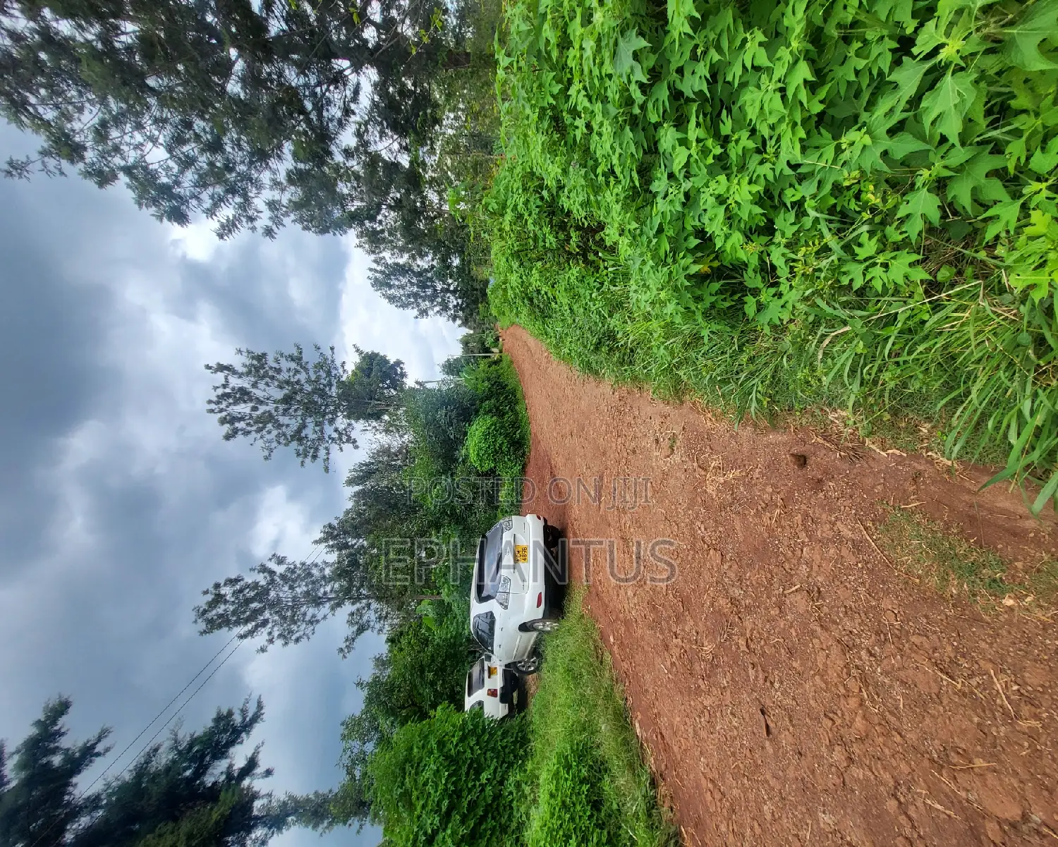 Kimunyu-Kenyatta Road Plot for Sale: 50 by 100 Square Meters in Kenyatta Road / Theta 