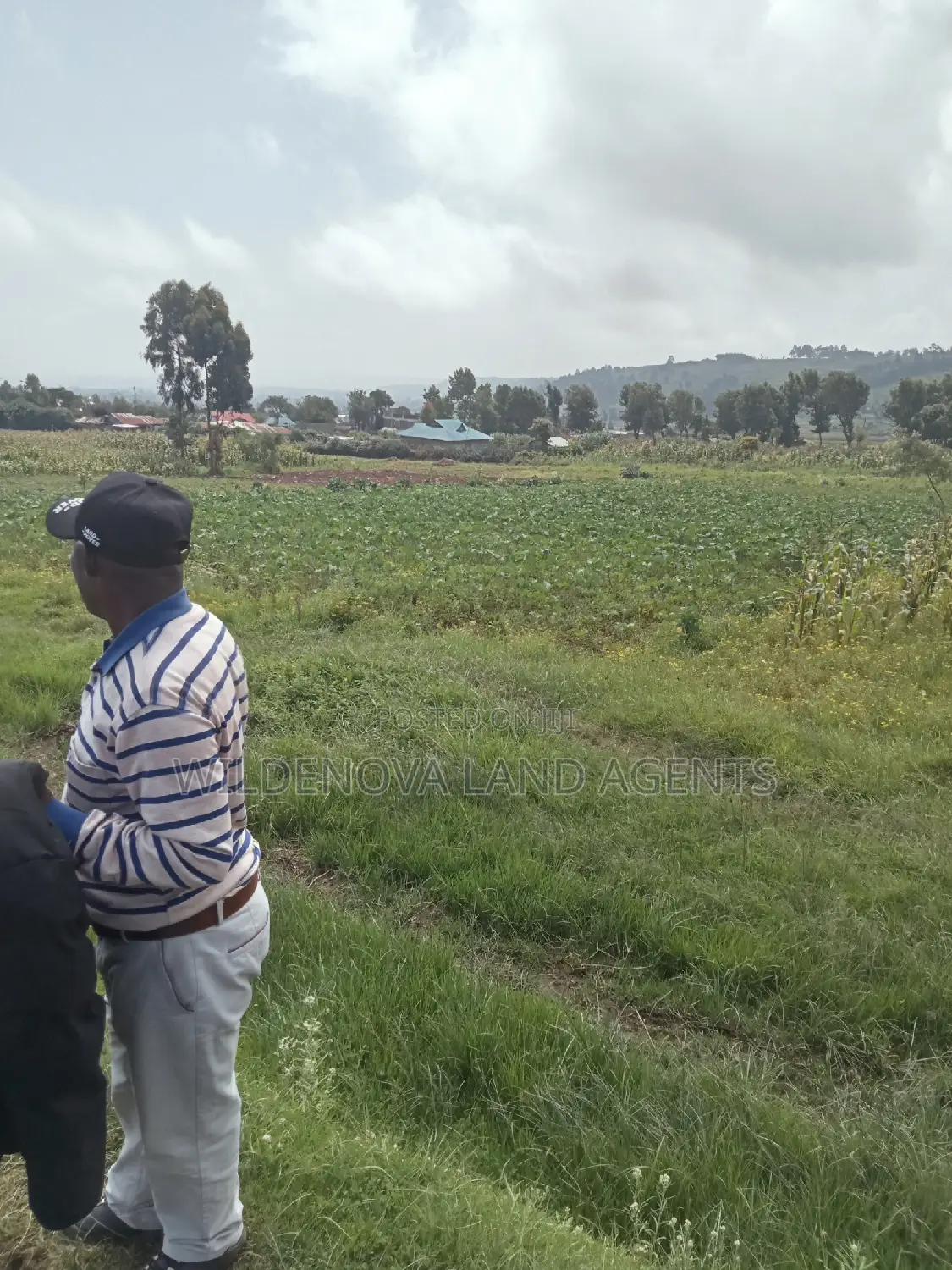 Land Sale in Ihindu, Naivasha: Seize the Opportunity in Naivasha East