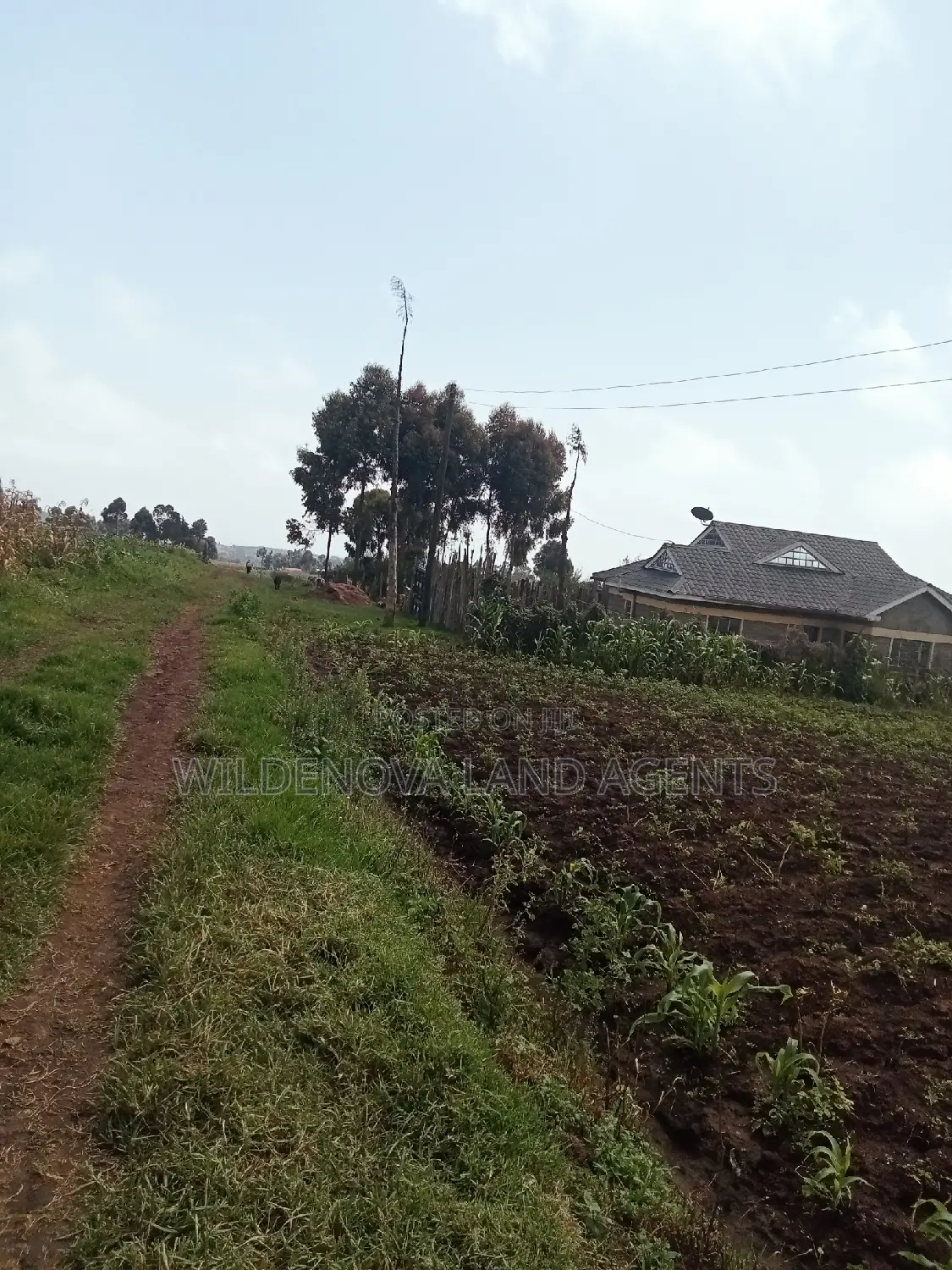 Land Sale in Ihindu, Naivasha: Seize the Opportunity in Naivasha East