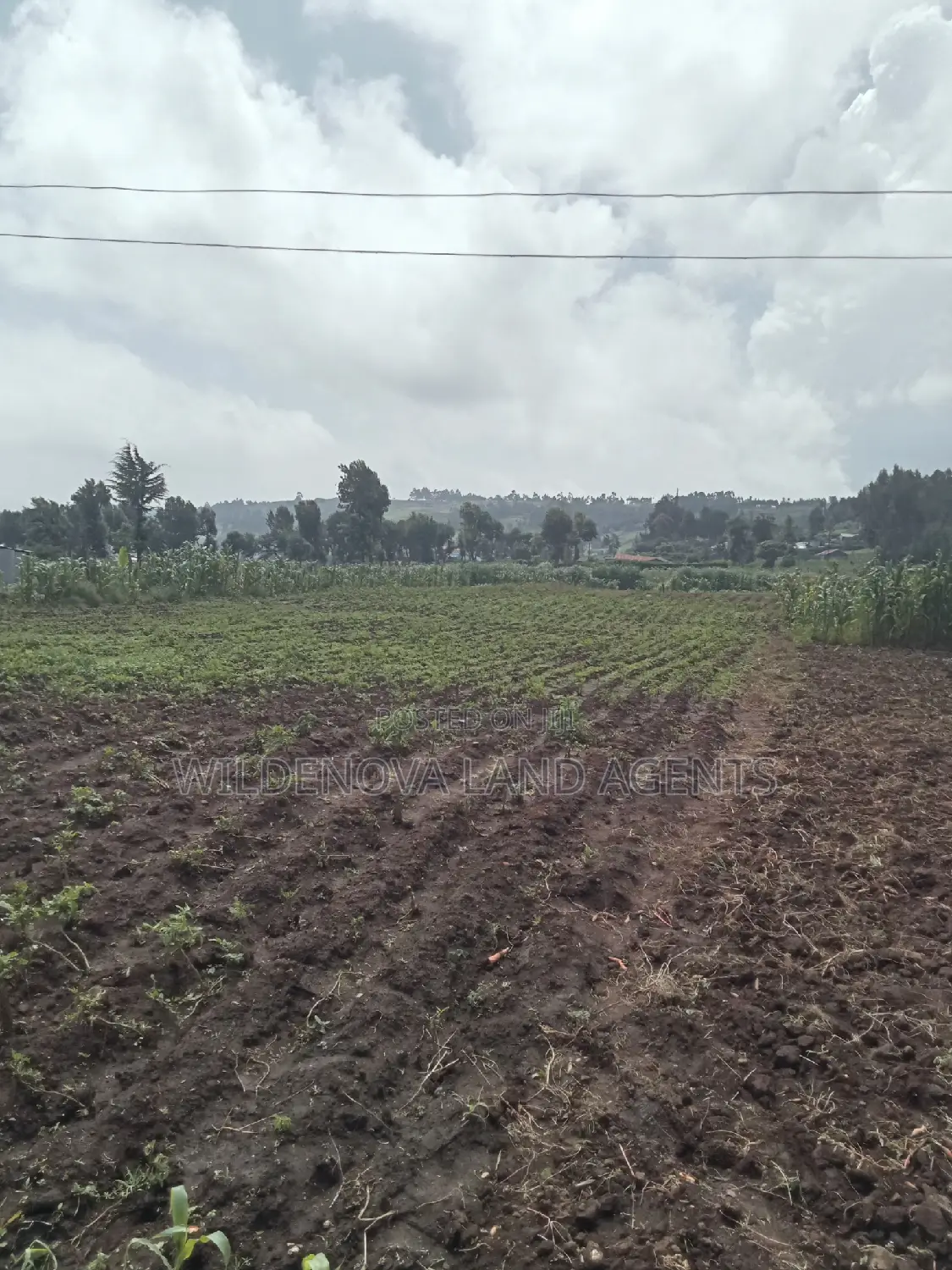 Land Sale in Ihindu, Naivasha: Seize the Opportunity in Naivasha East