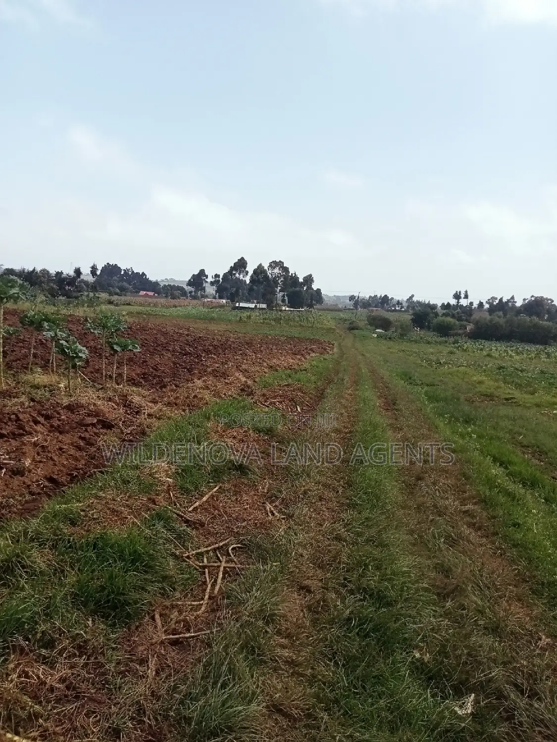 Land Sale in Ihindu, Naivasha: Seize the Opportunity in Naivasha East