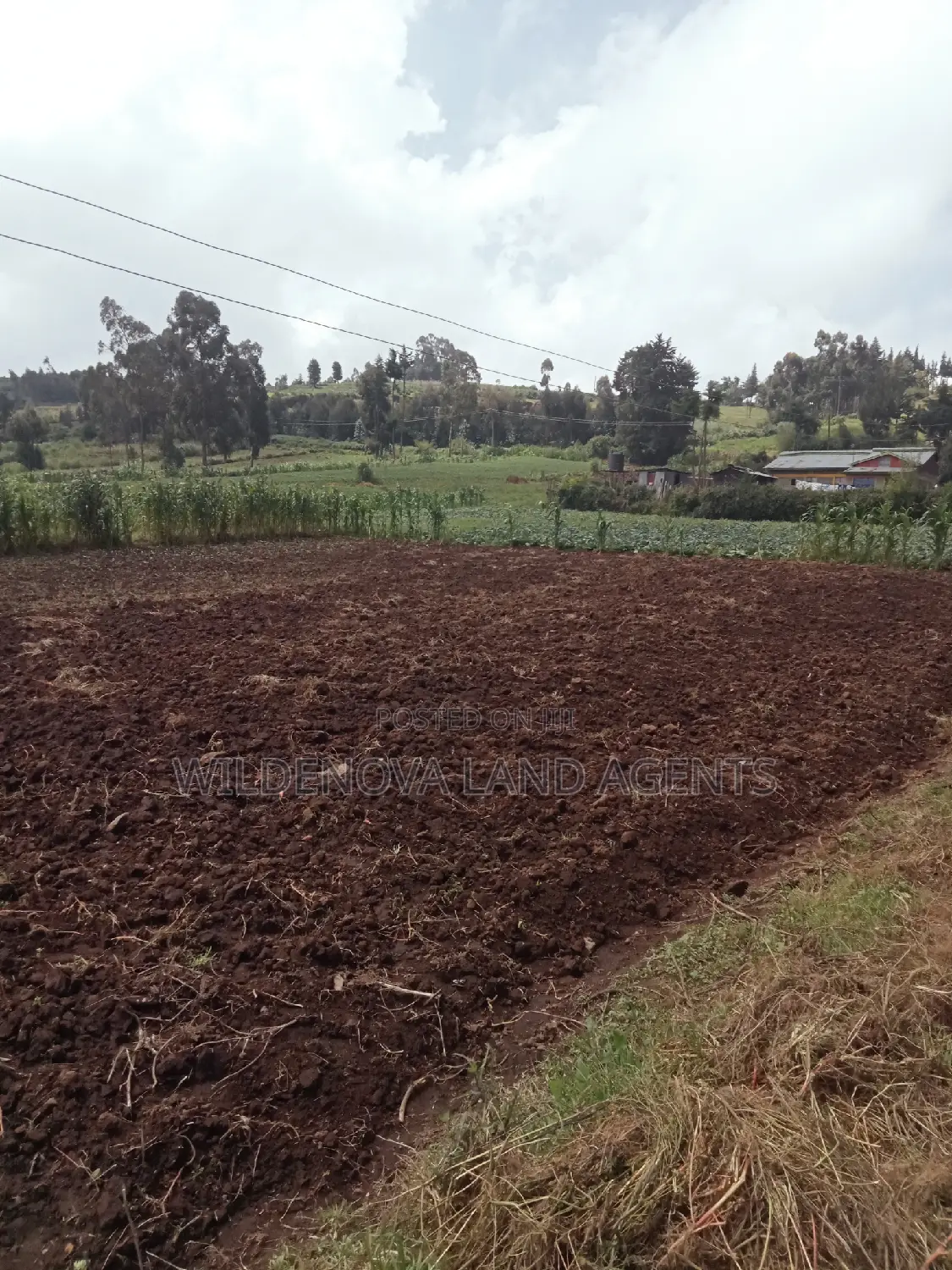 Land Sale in Ihindu, Naivasha: Seize the Opportunity in Naivasha East
