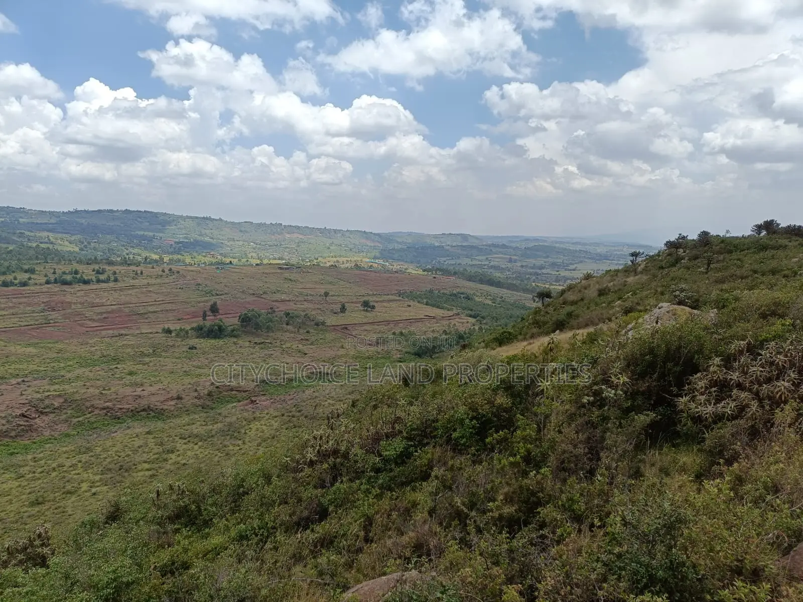 Affordable 50x100 Plots in Lusigetti, Karai - Ideal for Investment in Karai