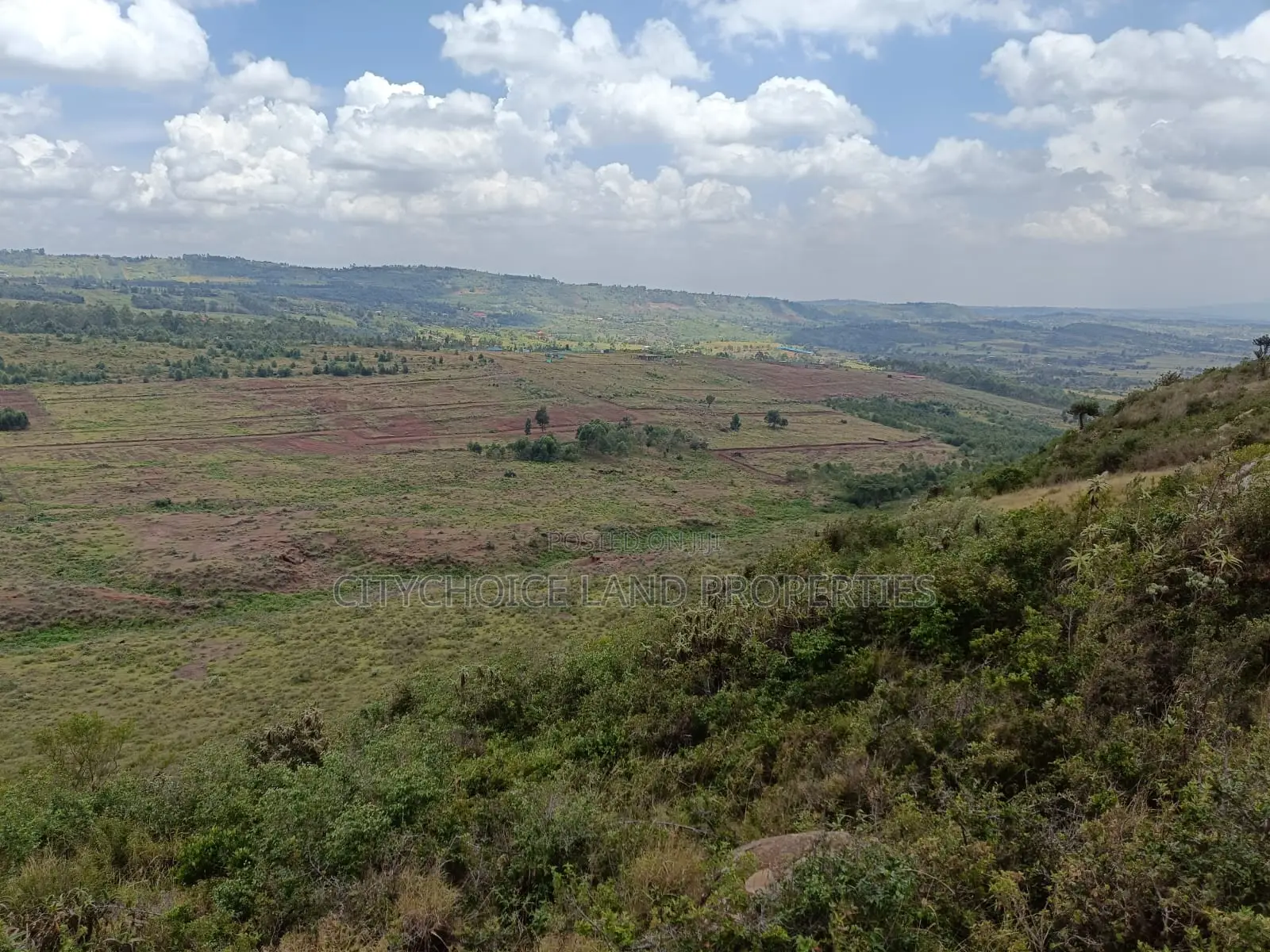 Affordable 50x100 Plots in Lusigetti, Karai - Ideal for Investment in Karai