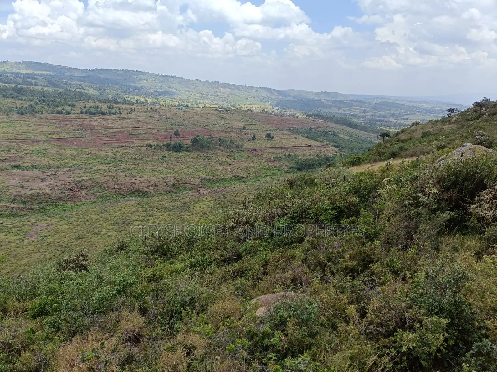 Affordable 50x100 Plots in Lusigetti, Karai - Ideal for Investment in Karai