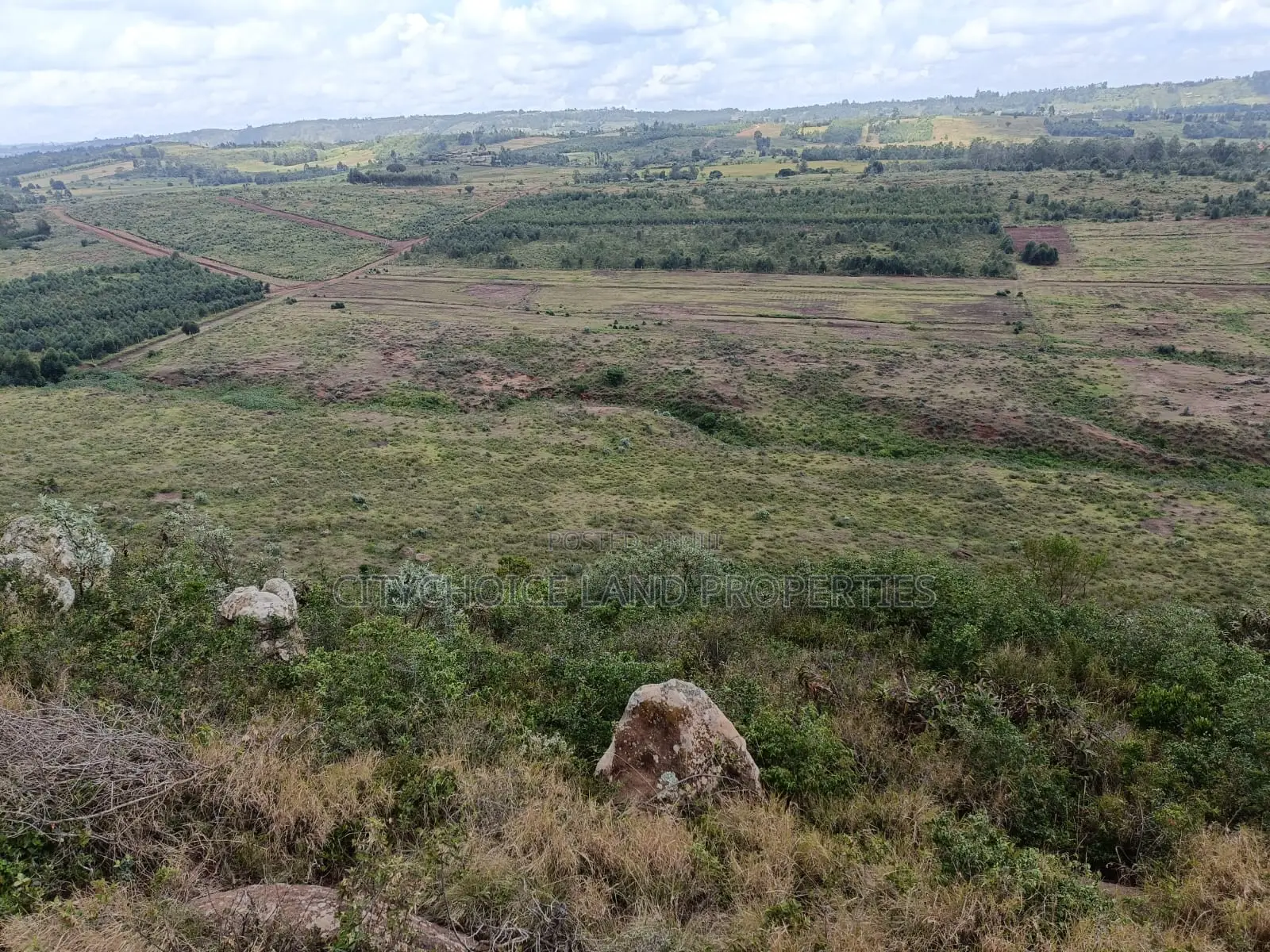 Affordable 50x100 Plots in Lusigetti, Karai - Ideal for Investment in Karai
