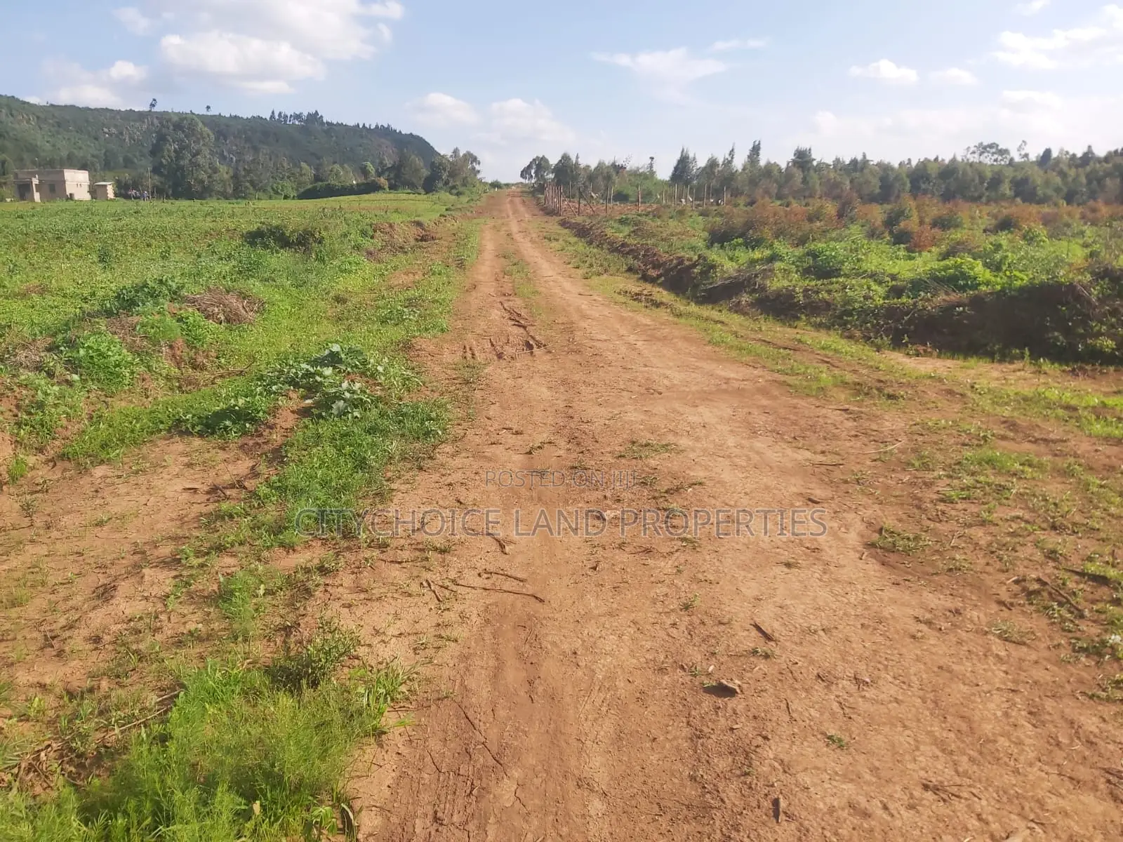 Limited Offer: 50x100 Sqm Lands for Sale - Act Quickly in Karai