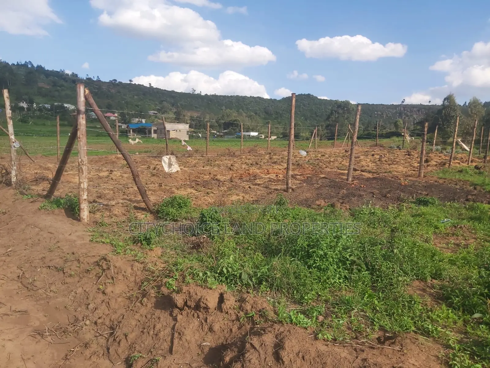 Limited Offer: 50x100 Sqm Lands for Sale - Act Quickly in Karai