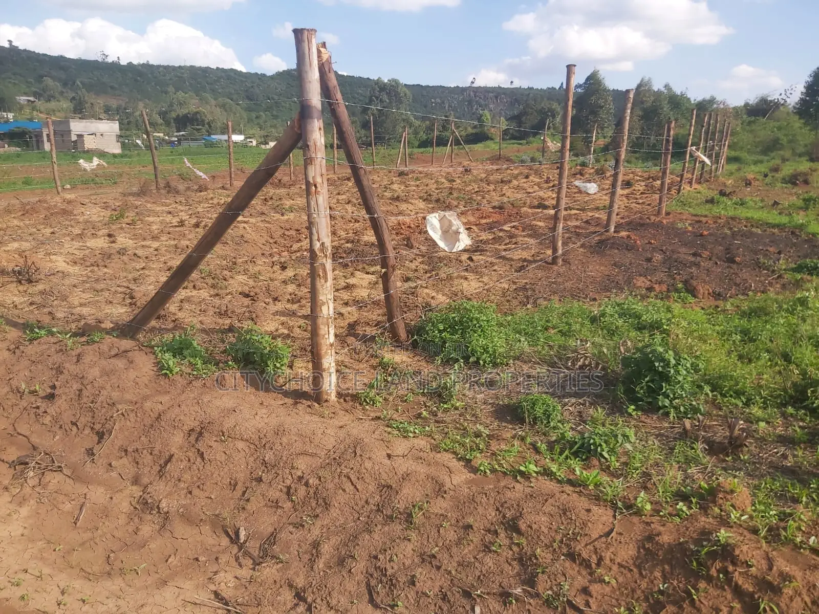 Limited Offer: 50x100 Sqm Lands for Sale - Act Quickly in Karai