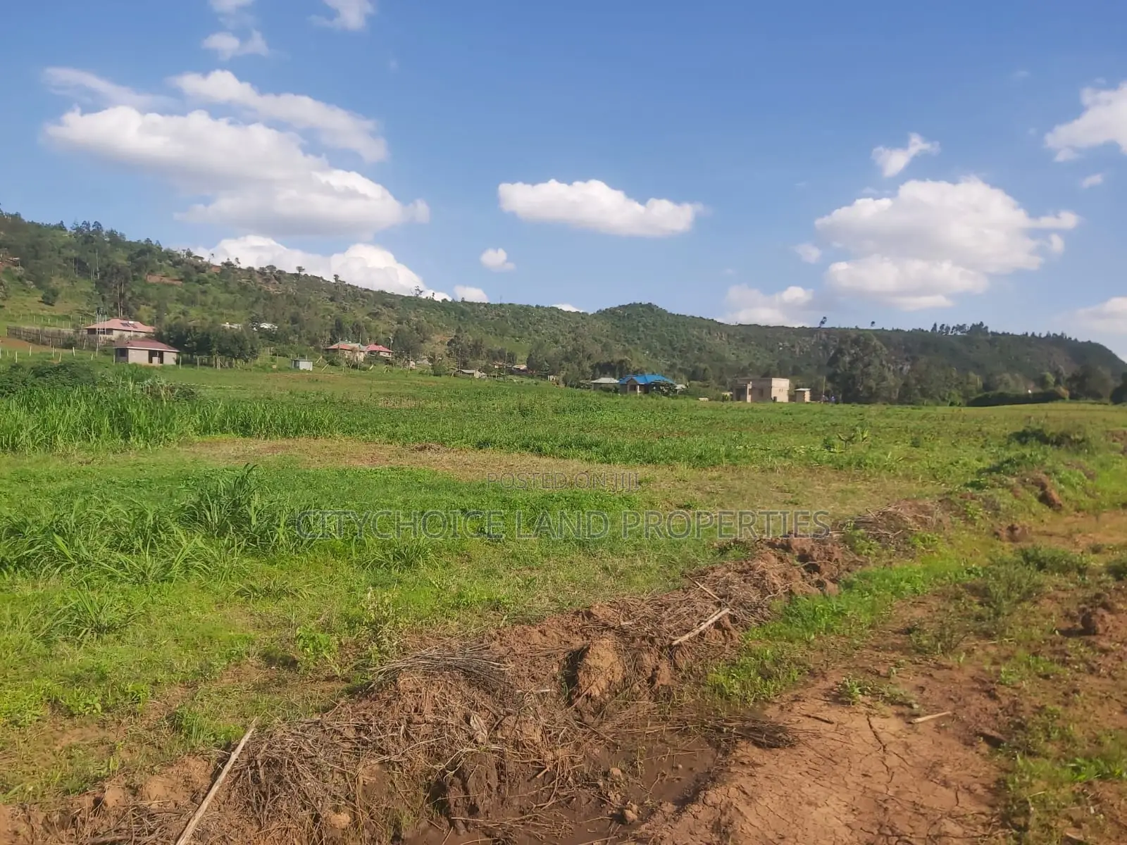 Bargain 50x100ft Plot in Sought-After Karai, Kikuyu - Don't Miss Out on This Exclusive Offer! in Karai