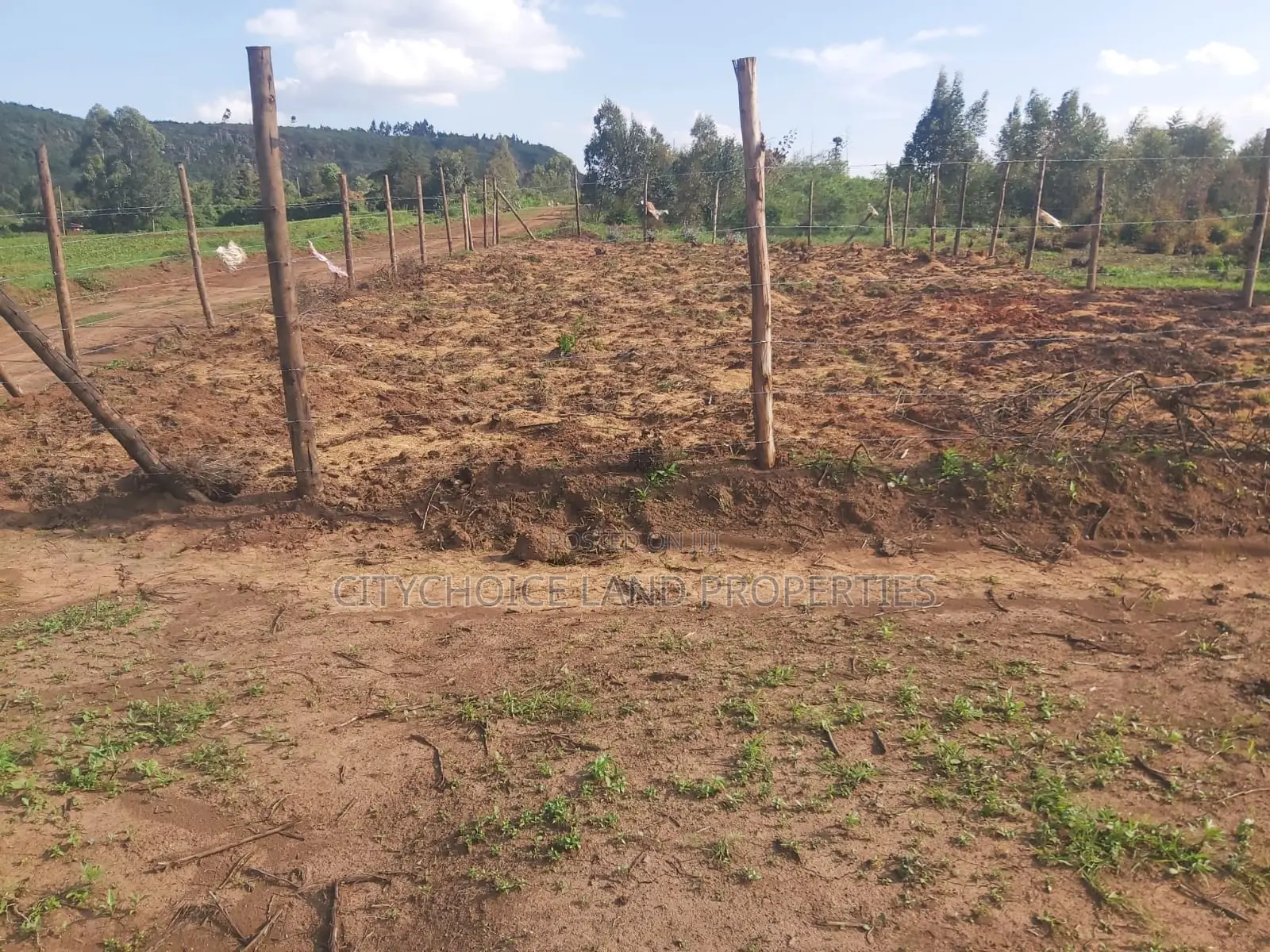 Bargain 50x100ft Plot in Sought-After Karai, Kikuyu - Don't Miss Out on This Exclusive Offer! in Karai