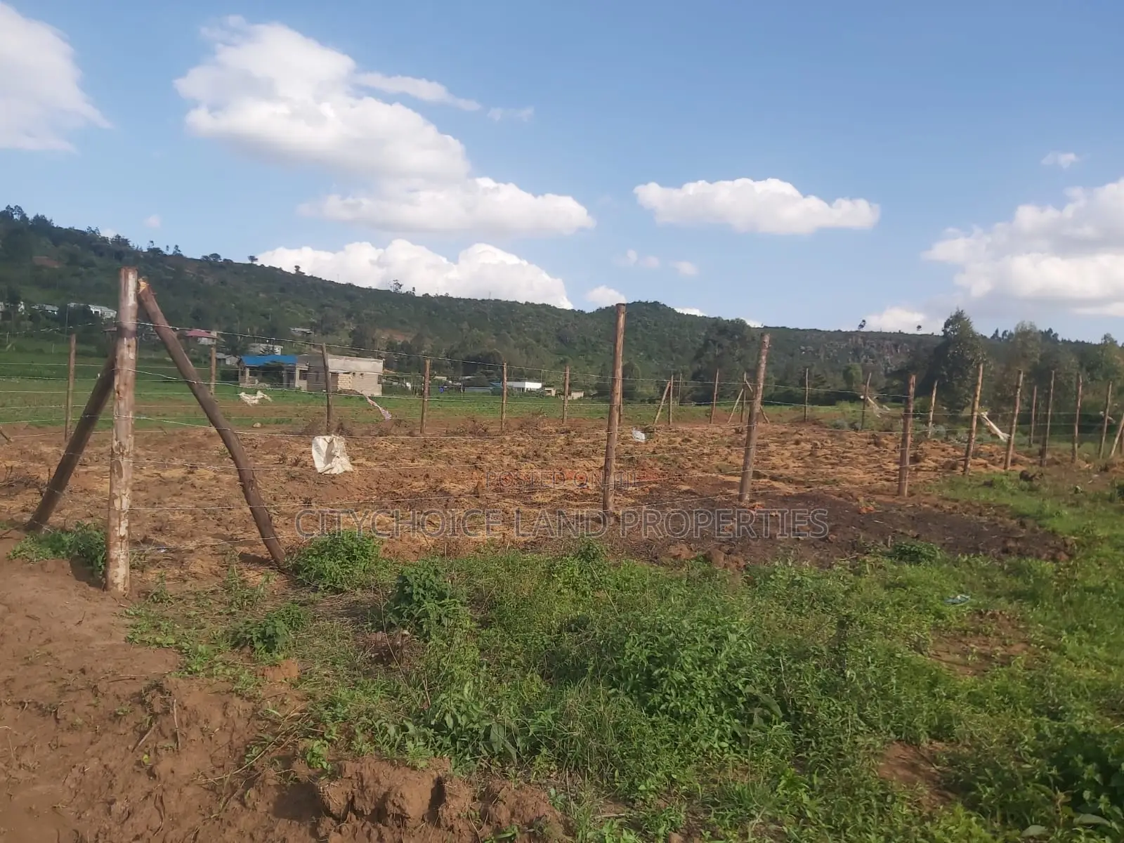 Karai 50x100 Plot - Perfect for Investment in Karai