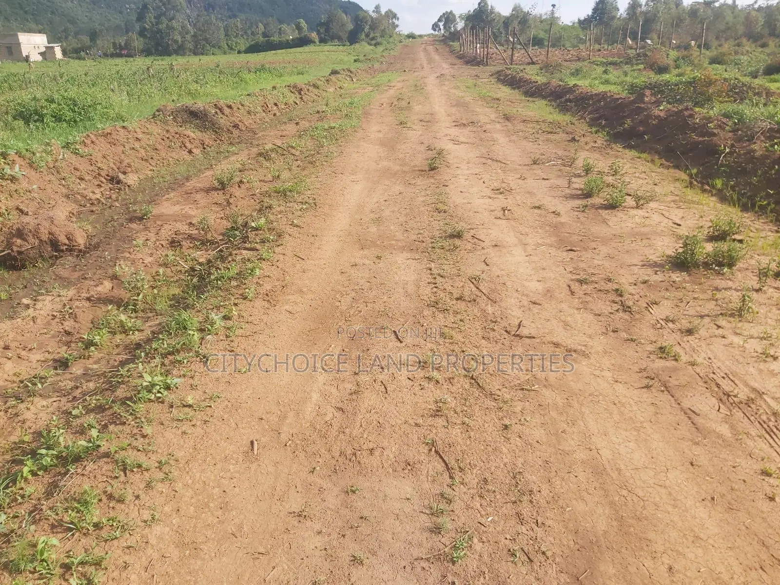 Karai 50x100 Plot - Perfect for Investment in Karai