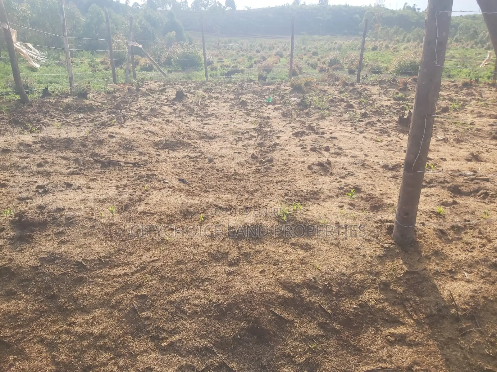 Karai 50x100 Plot - Perfect for Investment in Karai