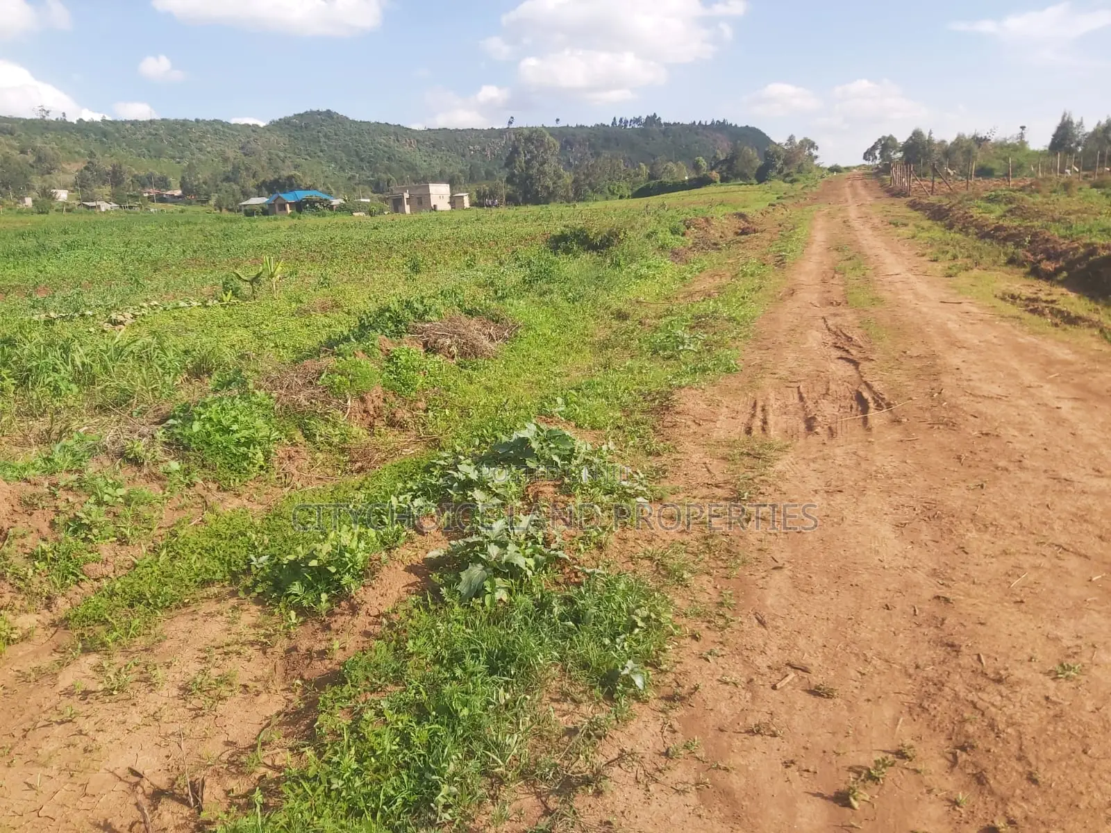 Prime 50x100 Plot Available on Karai Kikuyu - Don't Miss Out! in Karai