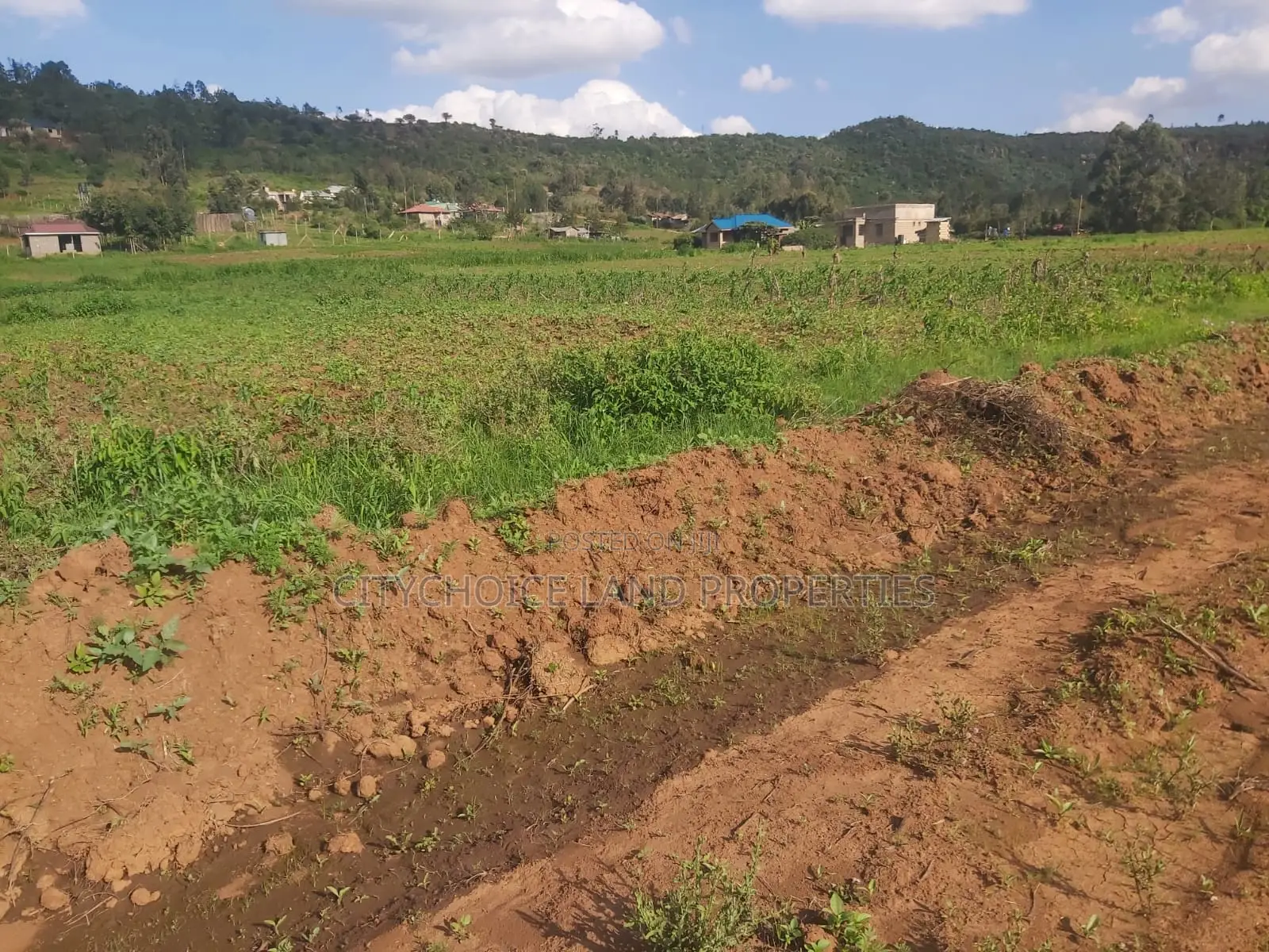 Prime 50x100 Plot Available on Karai Kikuyu - Don't Miss Out! in Karai